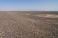 DSC_3765.jpg