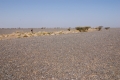 DSC_3766.jpg