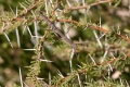 DSC_3915.jpg