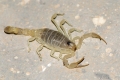 DSC_4146.jpg