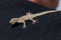 DSC_4171.jpg