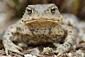 DSC_3497.jpg