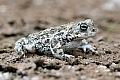 DSC_3523.jpg