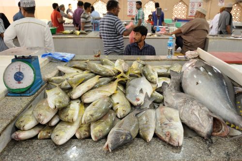 Salalah fish market