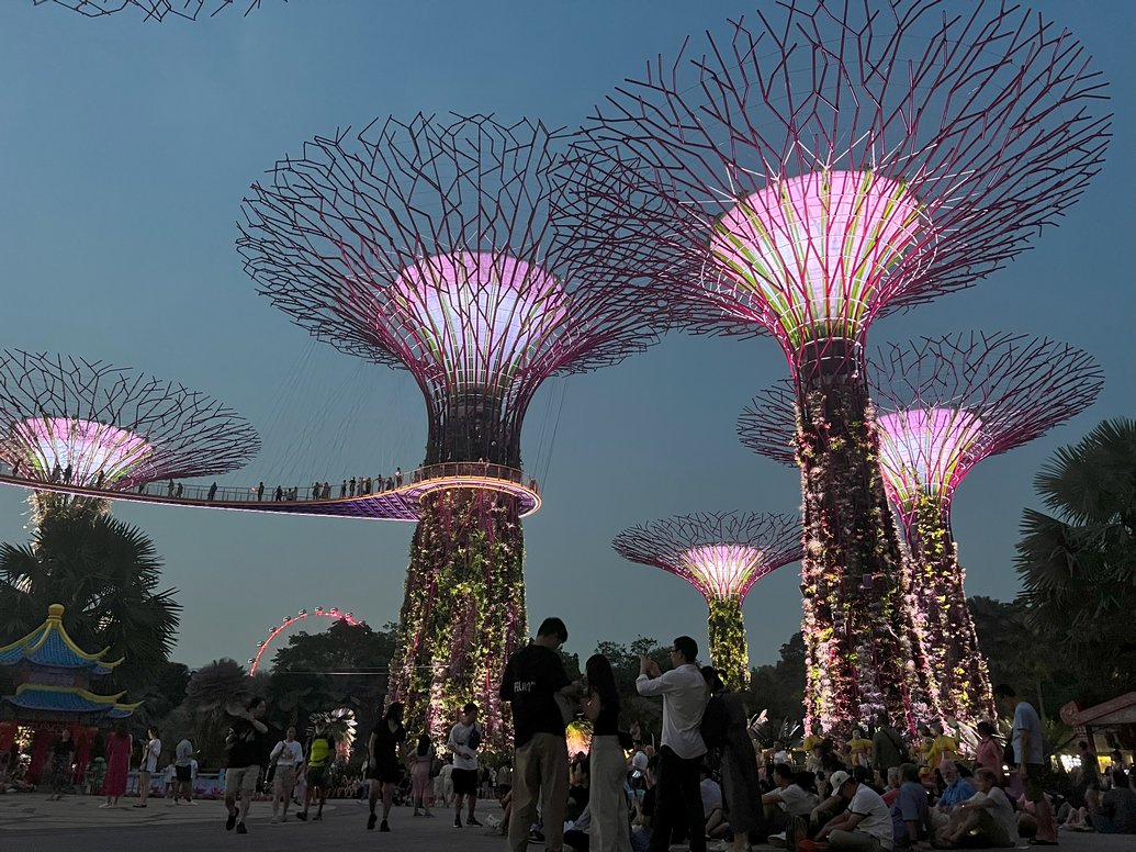 Gardens by the Bay - Supertree Grove Singapore